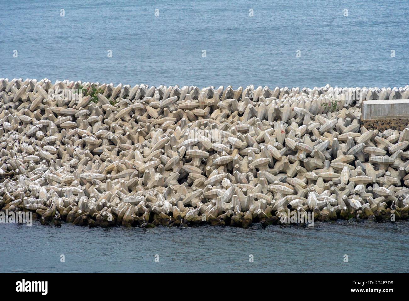 A water break seawall made from concrete dolos located in the Port of Ensenada, Mexico Stock Photo