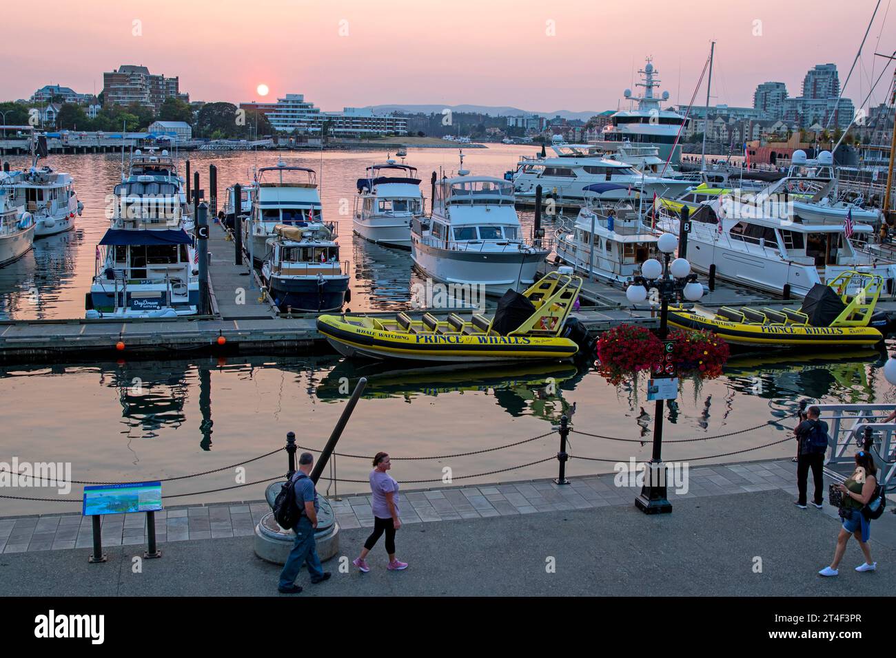 Sunset in Victoria's Inner Harbour, Vancouver Island Stock Photo