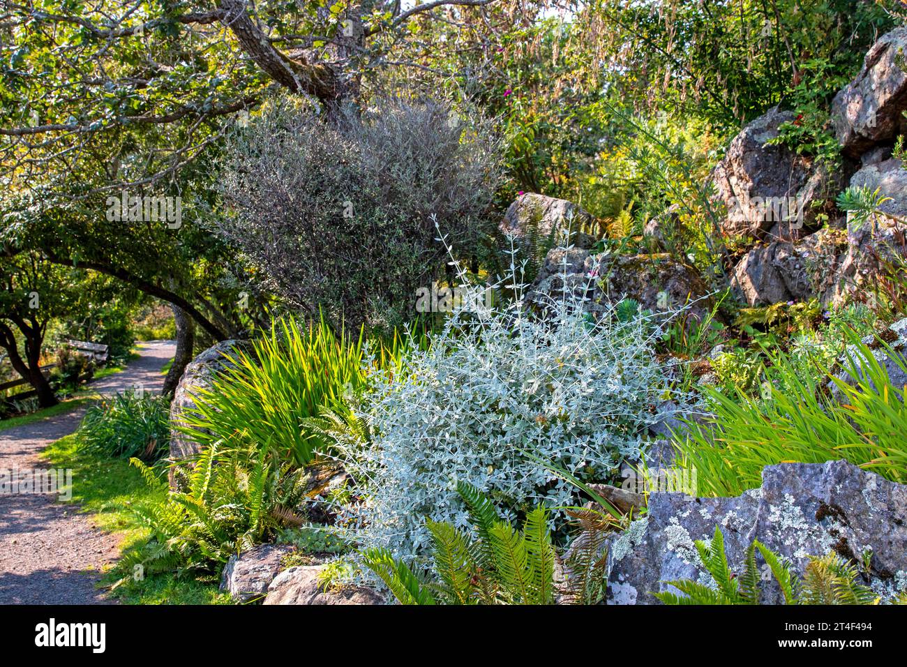The Rock and Alpine Garden at Government House, Victoria, Vancouver Island Stock Photo
