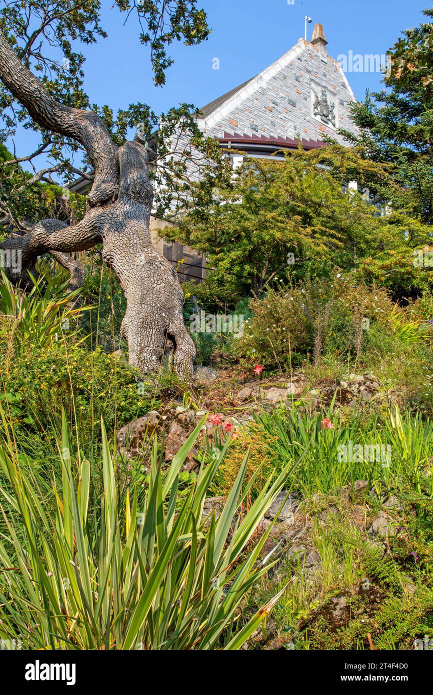 The Rock and Alpine Garden at Government House, Victoria, Vancouver Island Stock Photo