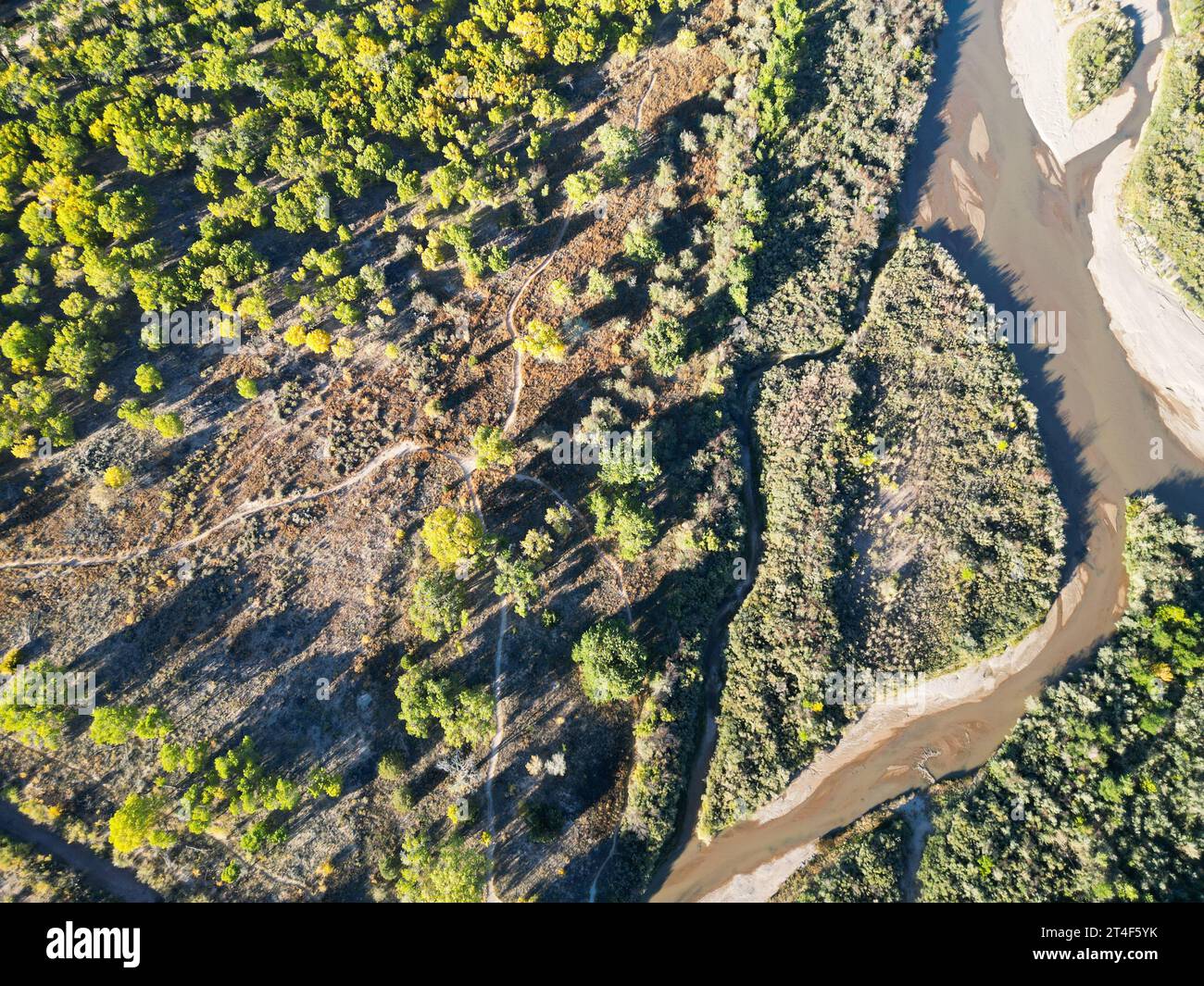 Coors Bosque Trails, Rio Grande, Albuquerque, NM, USA Stock Photo