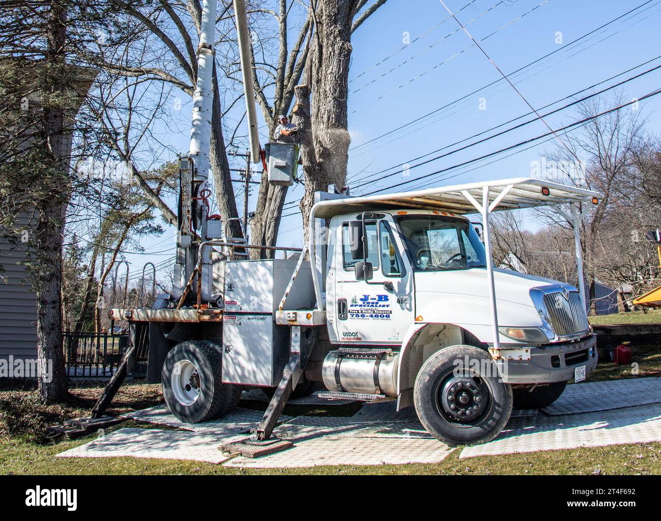Tree removal in Greene County, maple, New York, USA Stock Photo