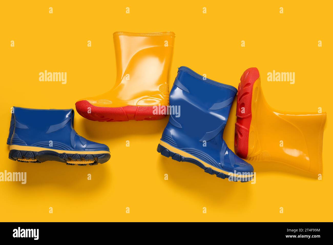 stylish gumboots