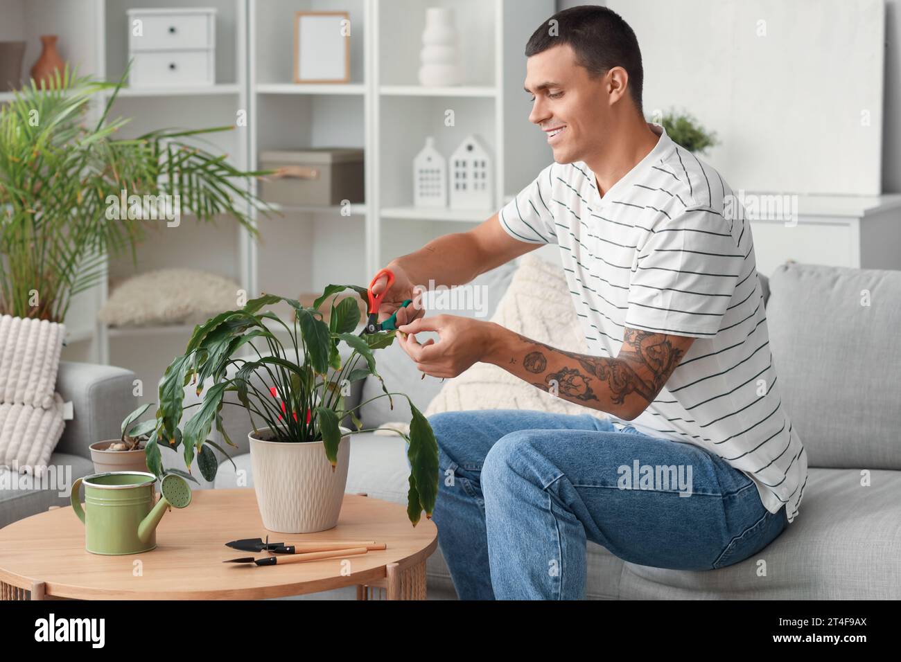 Young man cutting leaves off plant at home Stock Photo Alamy