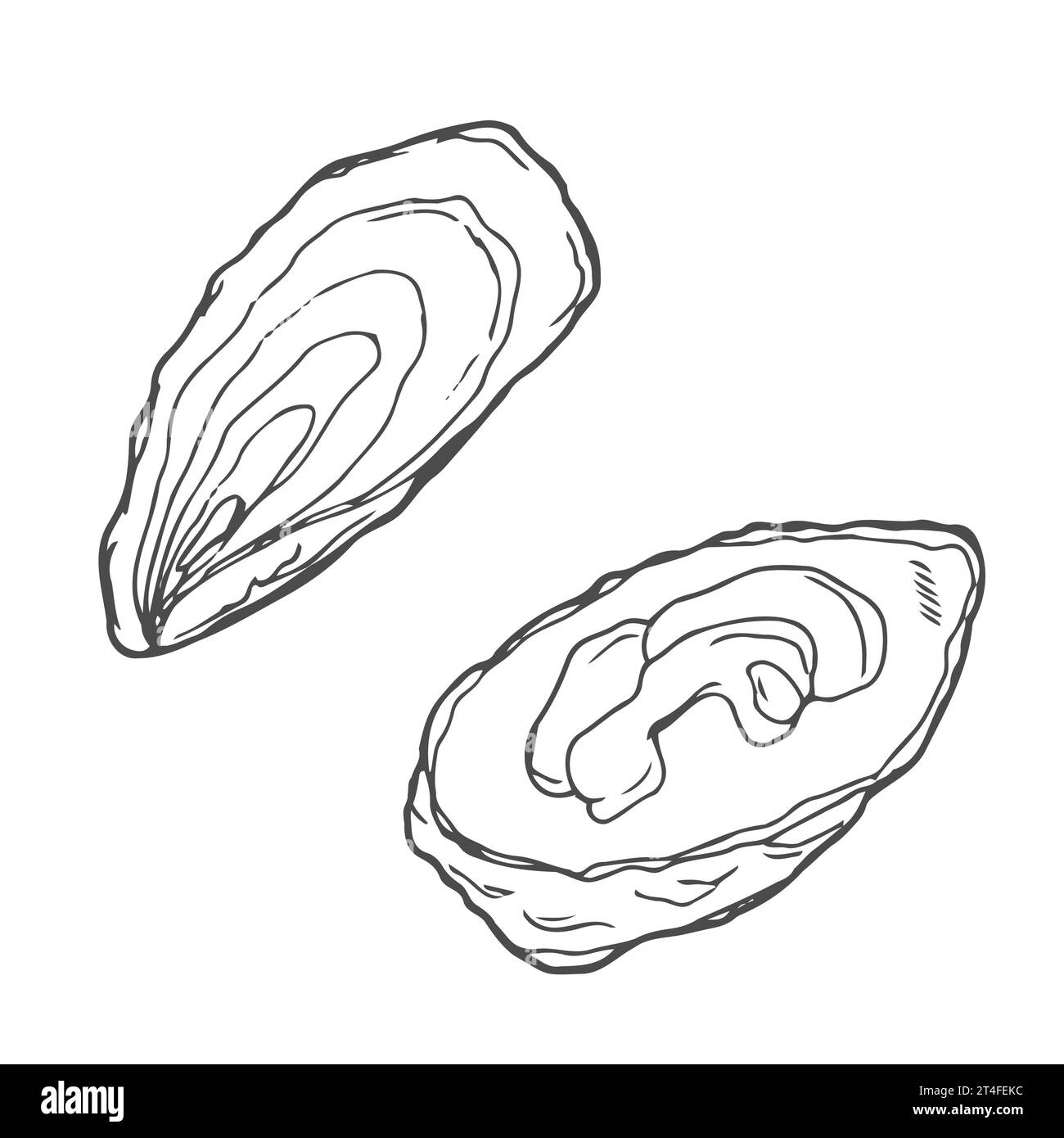 Hand drawn vector collection of illustrations of clams, mussels Stock