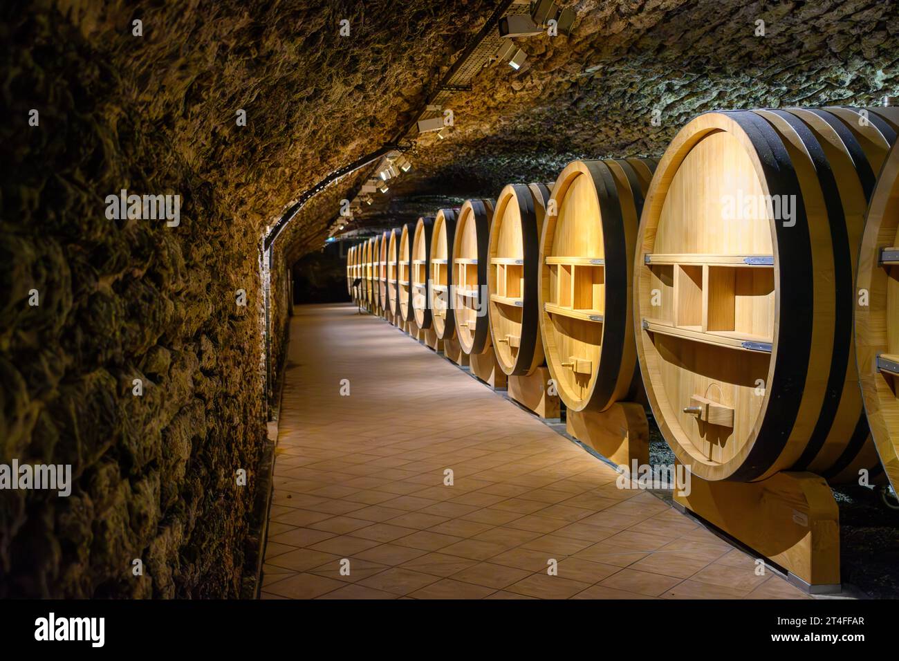 Underground wine cellars with barrels for aging of red dry wine in