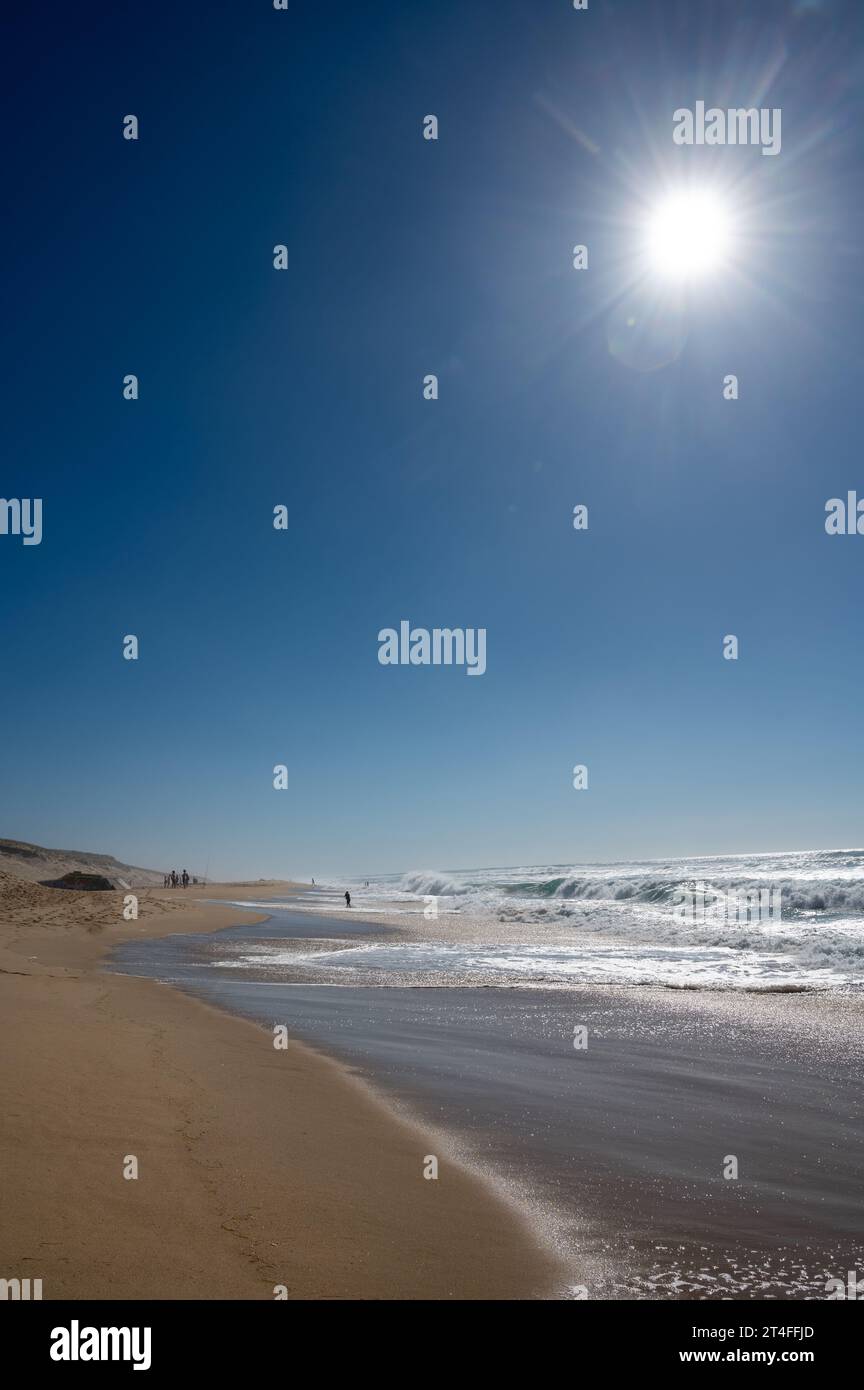 View on Plage de Horizon, Plage de l'ocean near Le Phare du Cap Ferret — free download