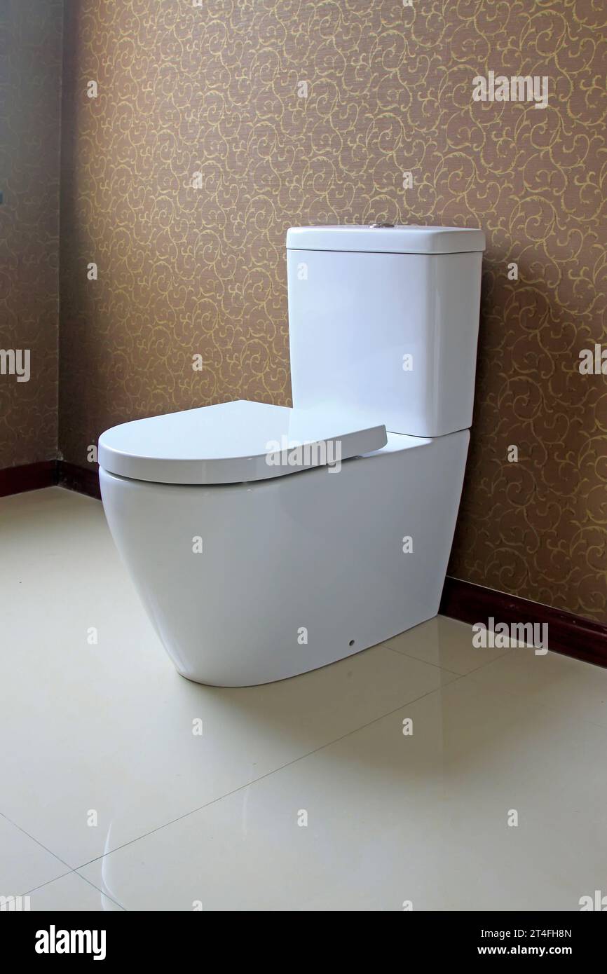 ceramic toilet people in the toilet Stock Photo