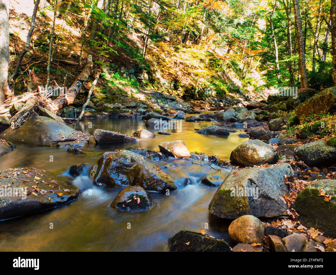 Stream water with rocks hi-res stock photography and images - Alamy