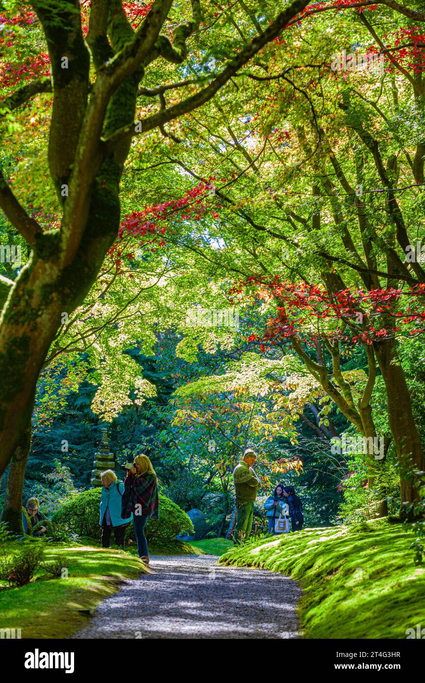 People enjoying the calm of Nitobe Japanese Gardens at UBC Vancouver Canada Stock Photo