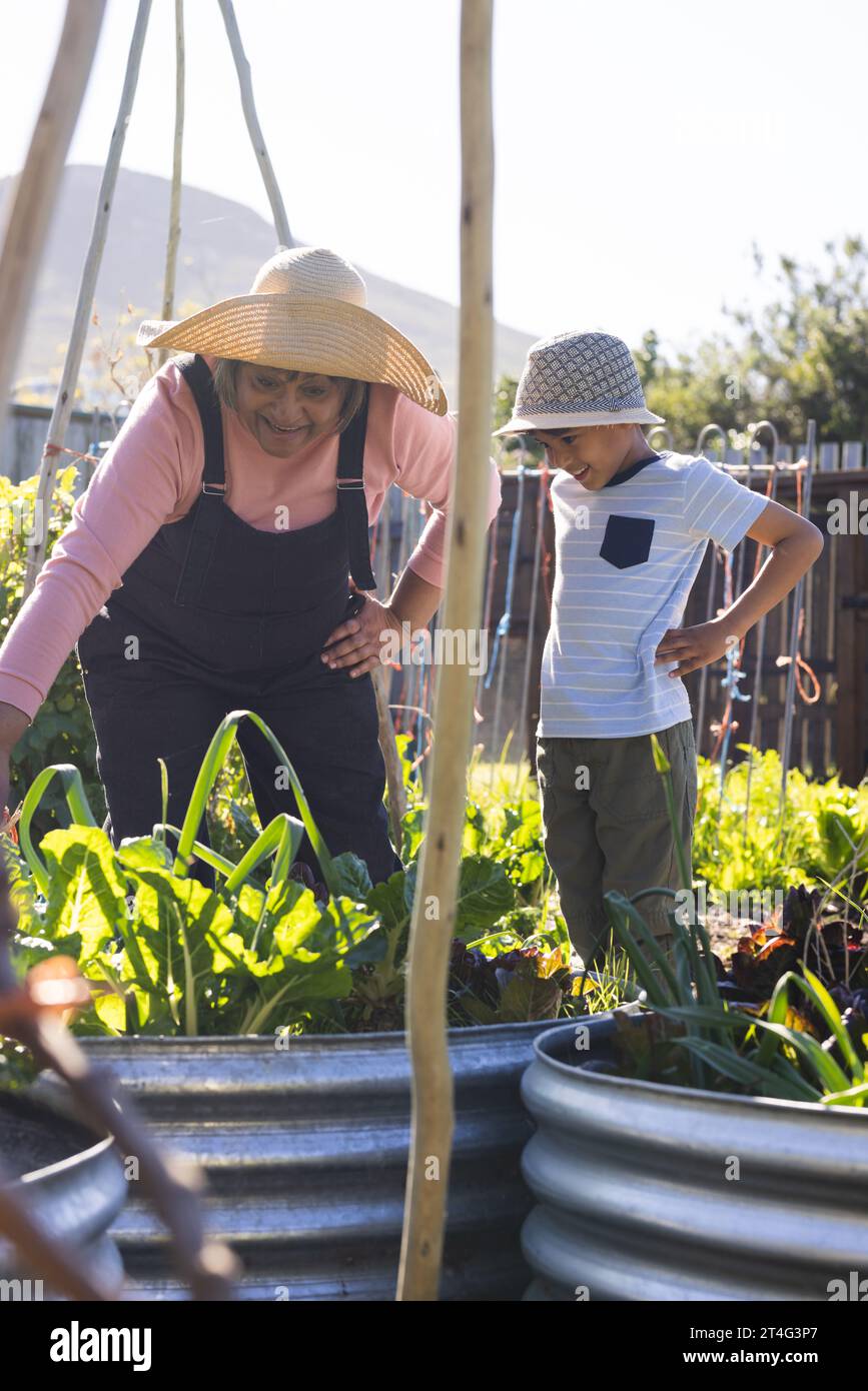 Happy biracial grandmother and grandson tending to plants in sunny garden Stock Photo