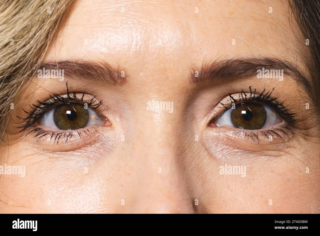 Close up of face and brown eyes of caucasian woman with blond hair Stock Photo