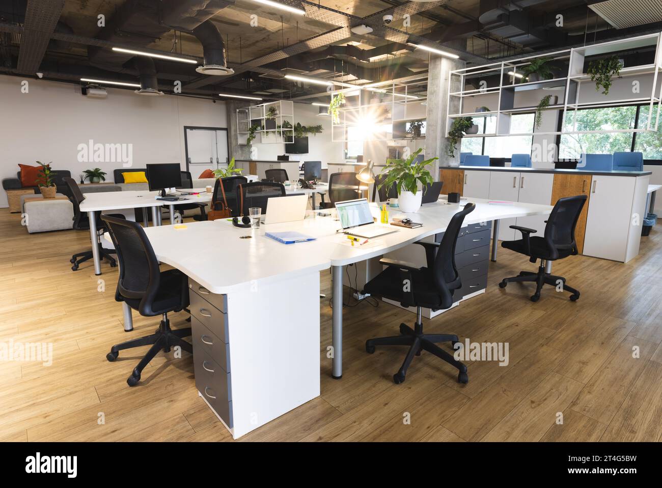 Empty creative office with plants in pots, computer and laptops with data on screen Stock Photo