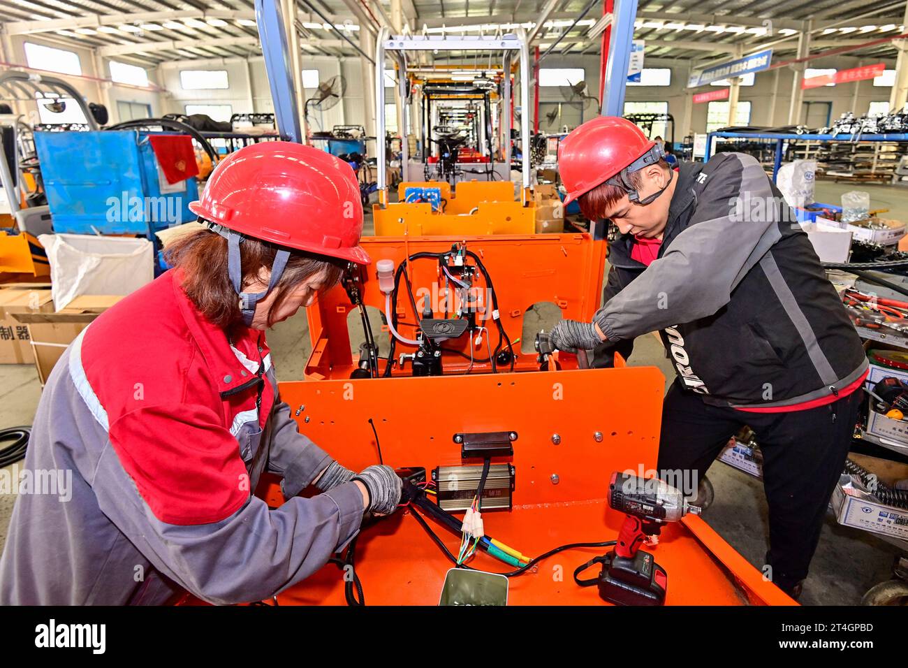 Qingzhou, China. 31st Oct, 2023. QINGZHOU, CHINA - OCTOBER 18, 2023 - A ...