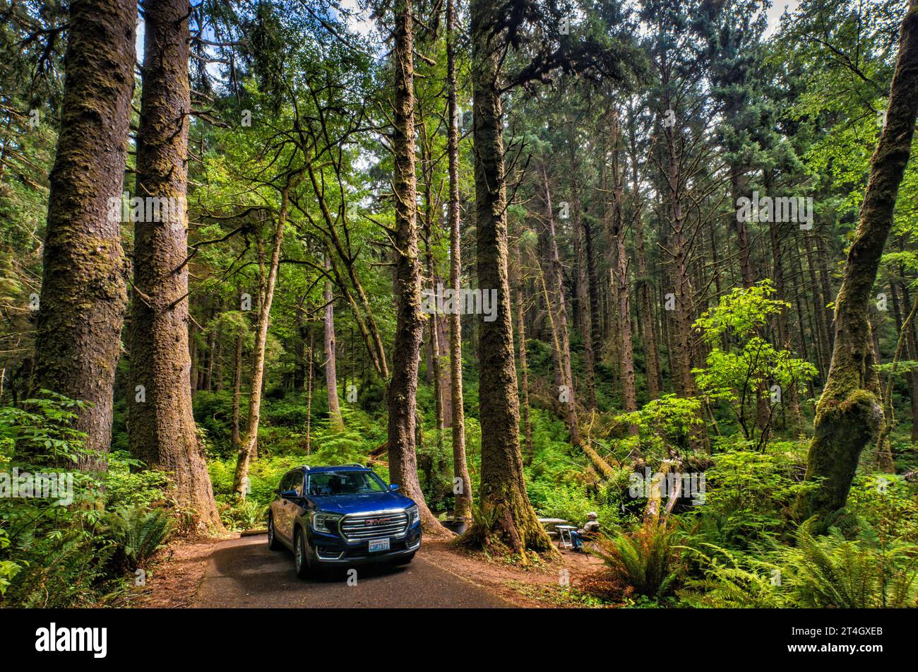 Vehicle and camper at campsite over Rock creek, temperate rain forest, Rock Creek Campground, Siuslaw National Forest, Oregon Coast Range, Oregon, USA Stock Photo