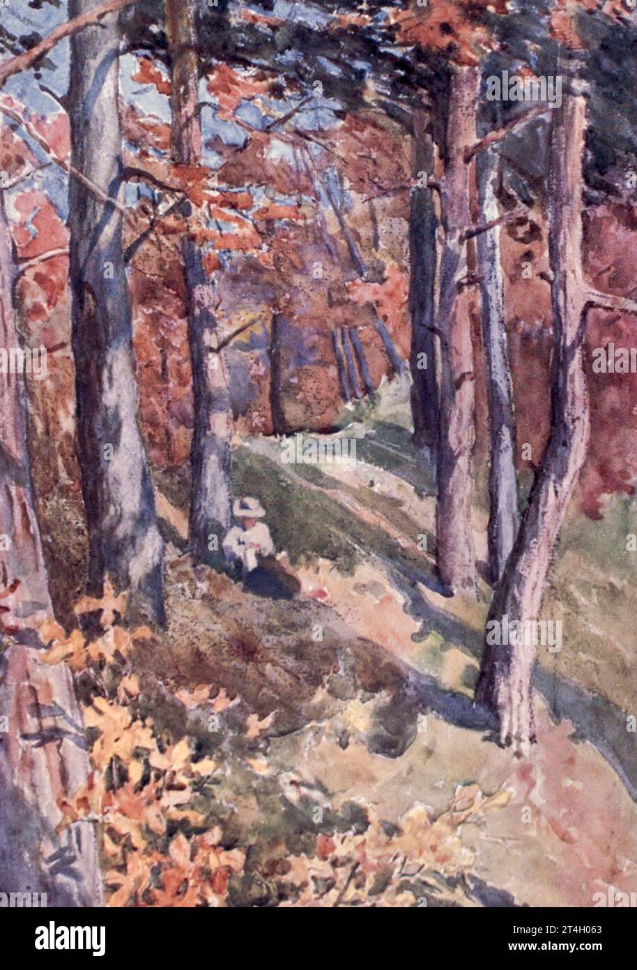 In the Forest of Sauvabelin, above Lausanne Painted by John Hardwicke Lewis, May Hardwicke Lewis, from the book ' Lausanne ' by Gribble, Francis Henry, Published in 1909 by A & C Black Lausanne is the capital and largest city of the Swiss French-speaking canton of Vaud. It is a hilly city situated on the shores of Lake Geneva, about halfway between the Jura Mountains and the Alps, and facing the French town of Évian-les-Bains Stock Photo