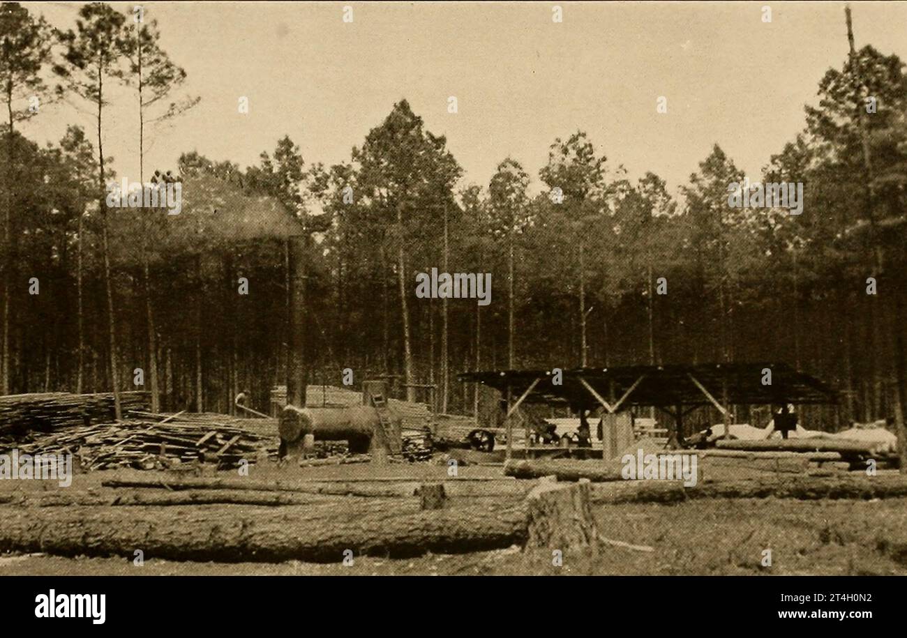 Saw Mill, East Texas from the book Texas, the marvellous, the state of