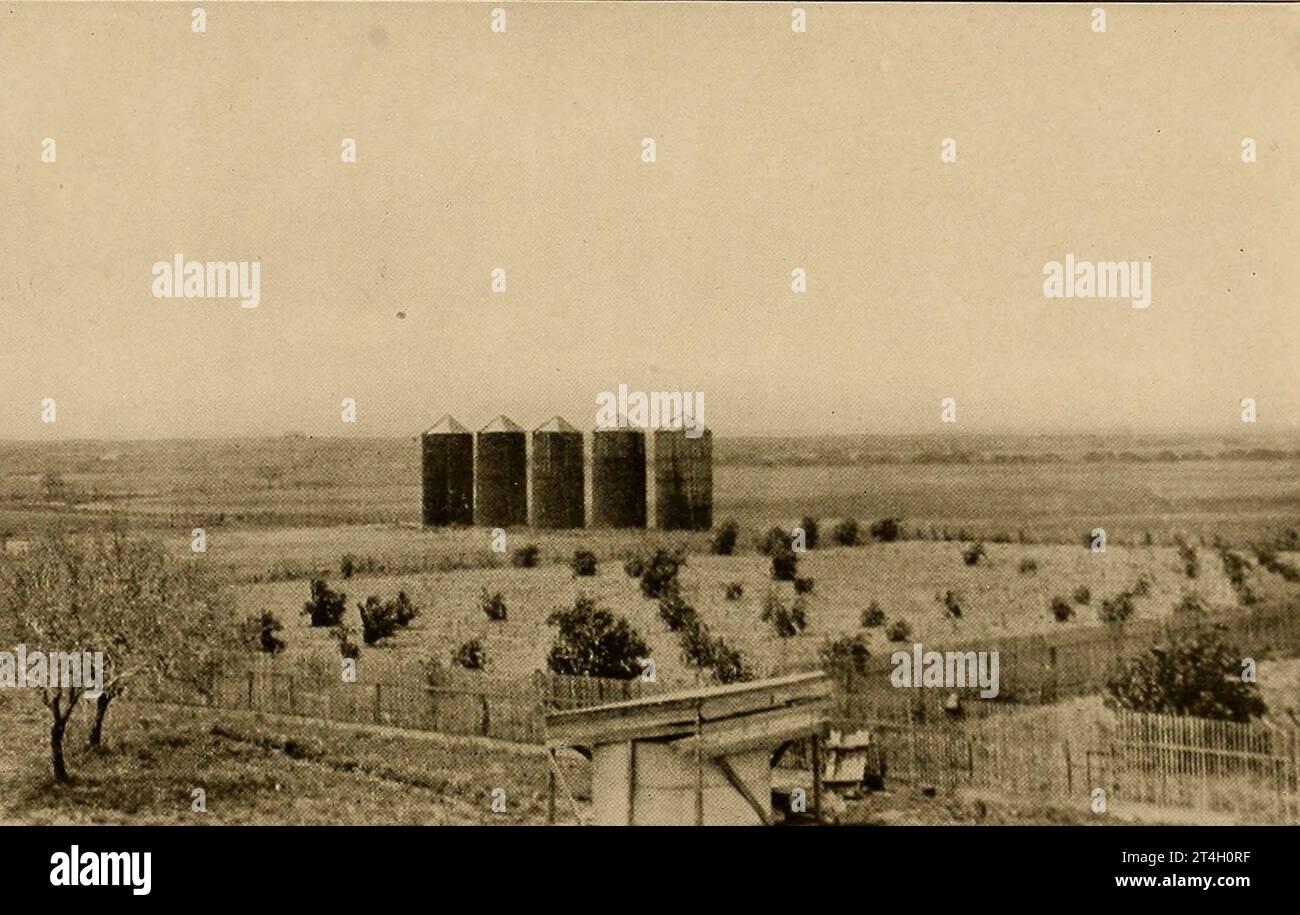 Silos on the King Million-acre Ranch from the book Texas, the marvellous, the state of the six flags; by Nevin Otto Winter Published The Page company 1916 ,Including Accounts of the Spanish Settlement and Establishment of the Indian Missions; the Unfortunate Expedition and Death of La Salle ; the Romance of its Early Settlement and Stories of its Hardy Pioneers ; the Nine-year Republic of Texas ; Stephen F. Austin and Sam Houston ; 'Remember the Alamo'; the Development of the Cattle Ranches ; the Great Ranches and a Visit to a Million-acre Ranch ; the Growing Cities; the Rehabilitation of Galv Stock Photo