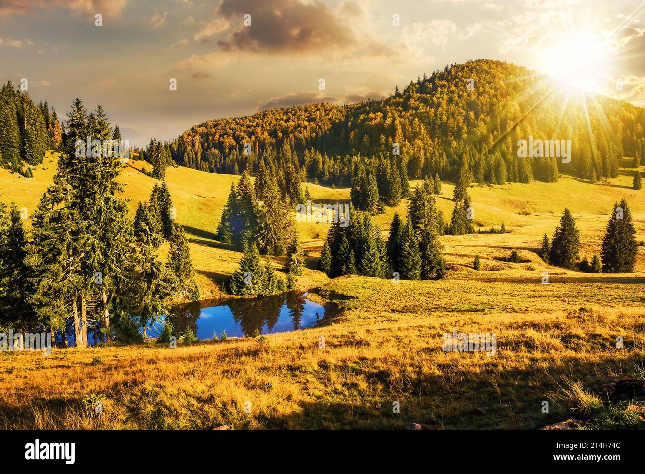 Small Hill Rise Small hill in the forest hi-res stock photography and images - Alamy