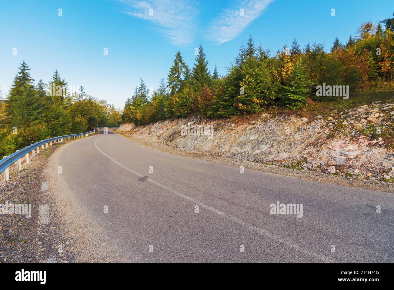 road through forested hill of apuseni natural park, romania. autumnal mountainous landscape in morning light Stock Photo