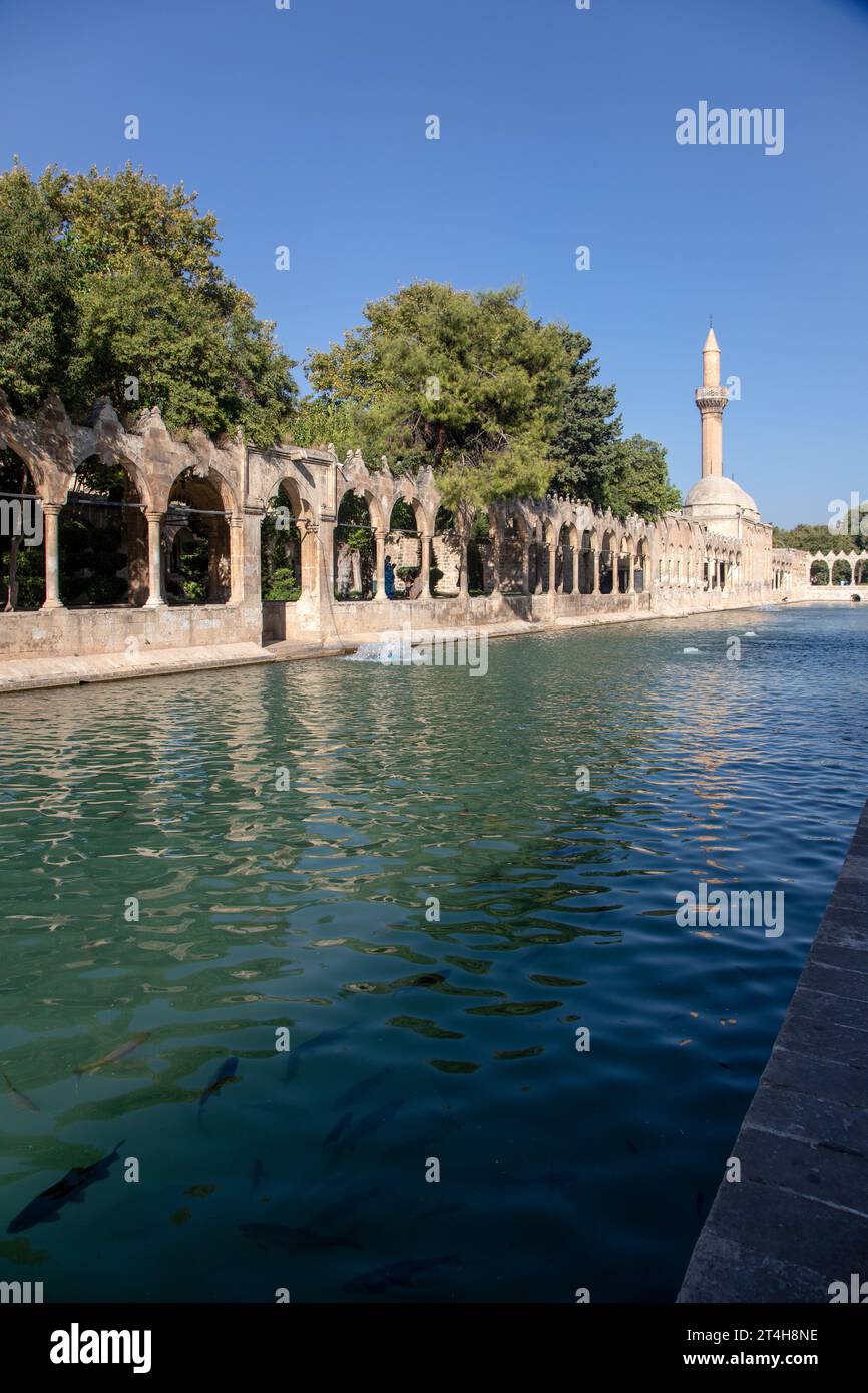 9-08-2023:Balıklıgöl is a religious site in Sanliurfa province and is believed to be sacred.It is believed to be the place where Abraham was thrown in Stock Photo