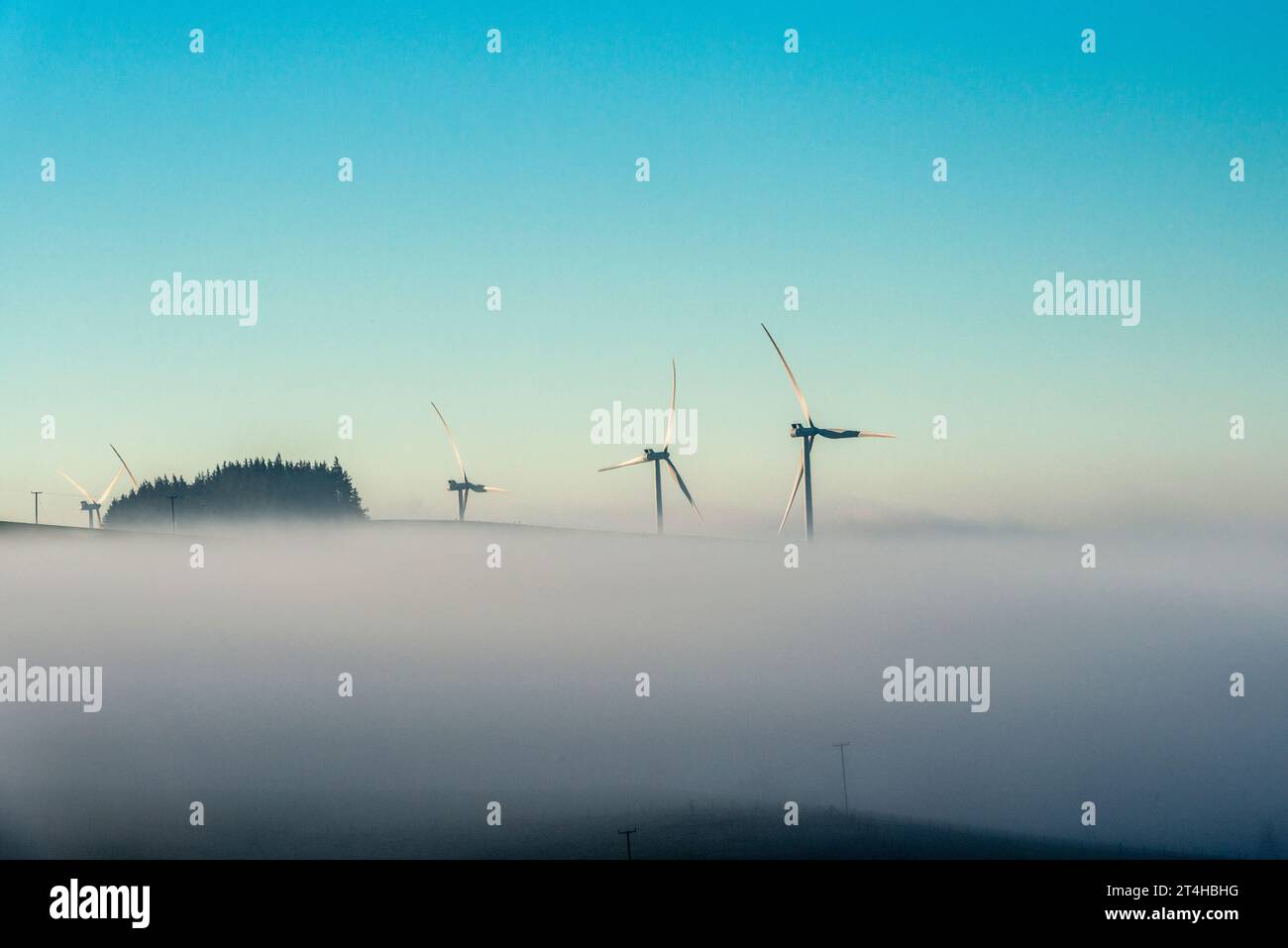 Wind turbines rising above a bank of fog in early morning, in mid Wales near Newtown, Powys, UK Stock Photo