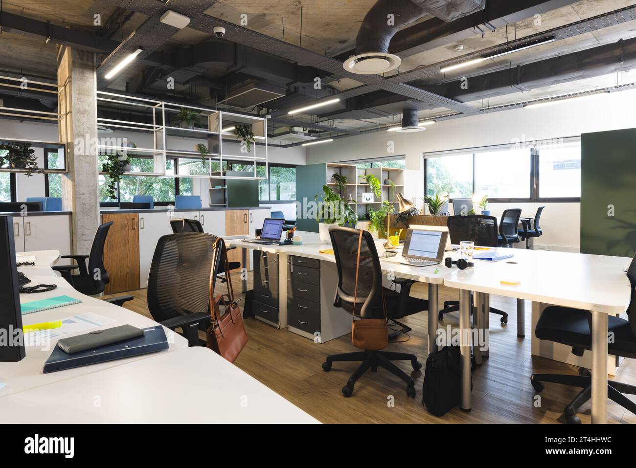 Empty creative office with plants in pots, computer and laptops with data on screen Stock Photo