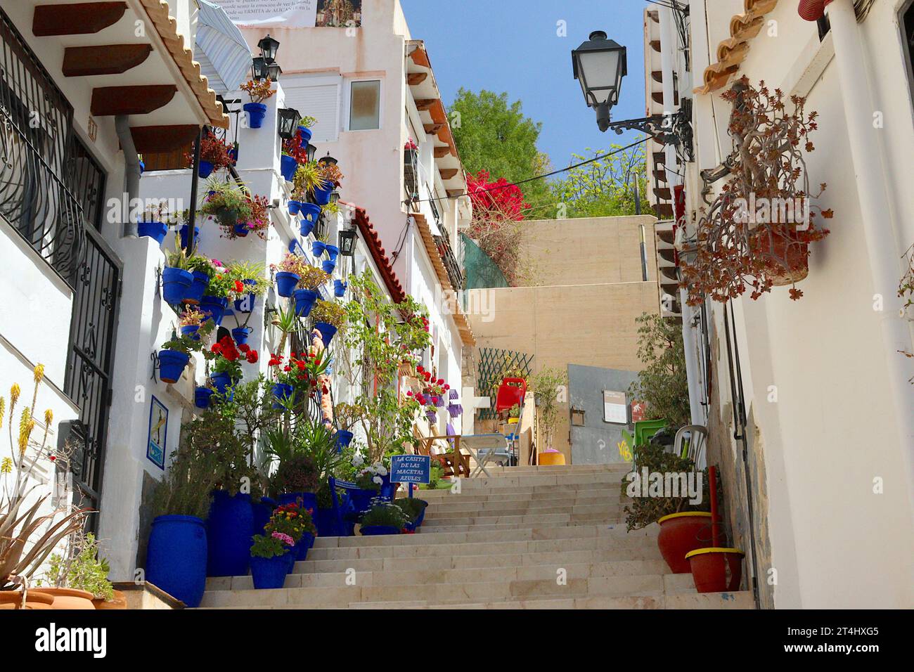 The house with the blue pots, a popular tourist attraction reached by steep steps. Hand painted pots contrast with brightly coloured flowers, Alicante. Stock Photo