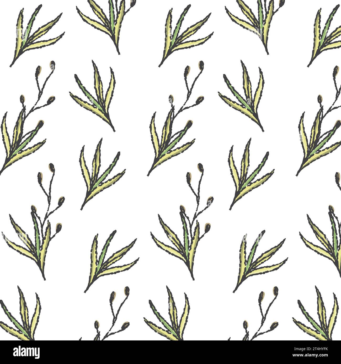 Plant grass pattern, seamless pattern on transparent background, vector ...