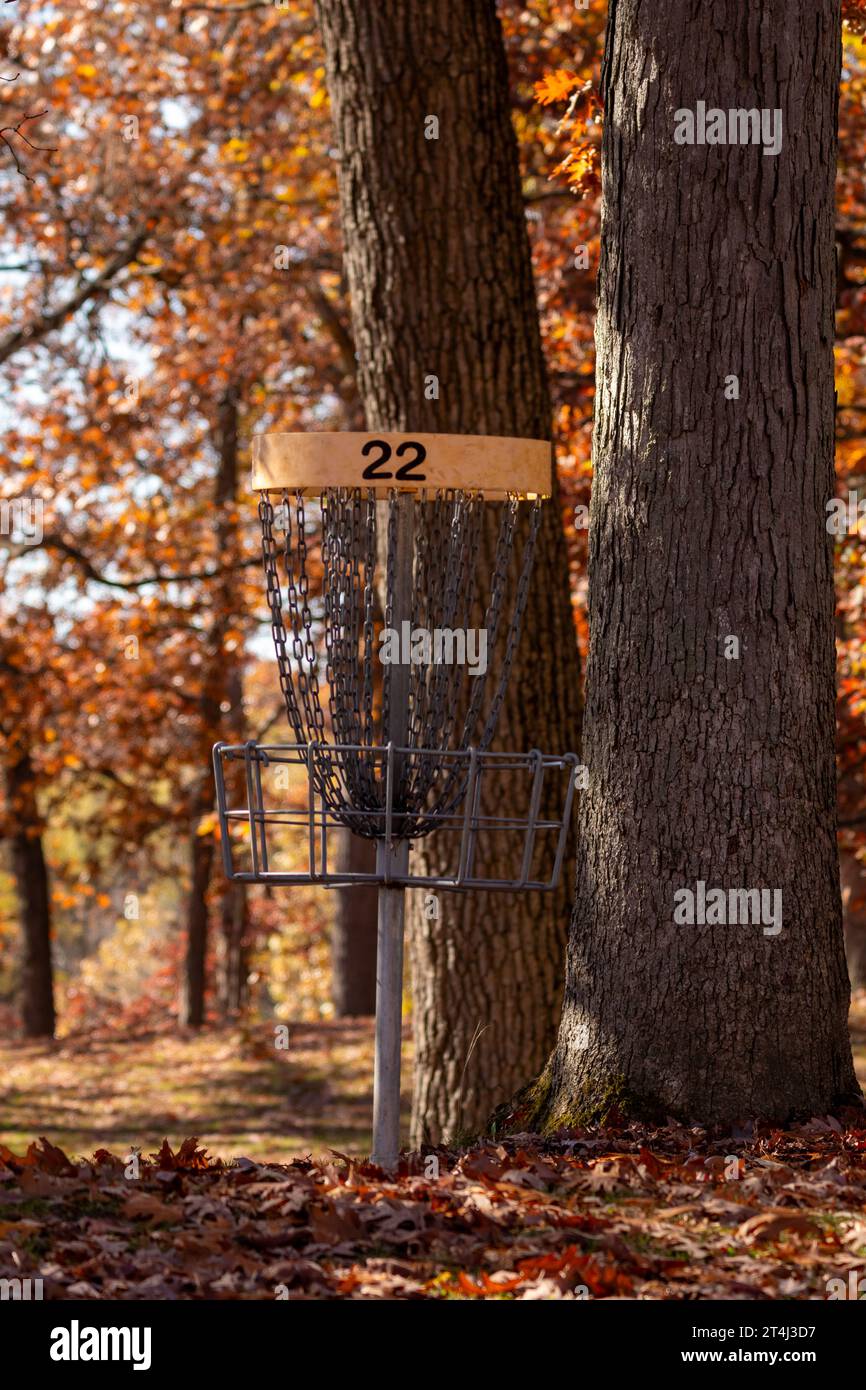 Disc Golf target in a park during autumn Stock Photo