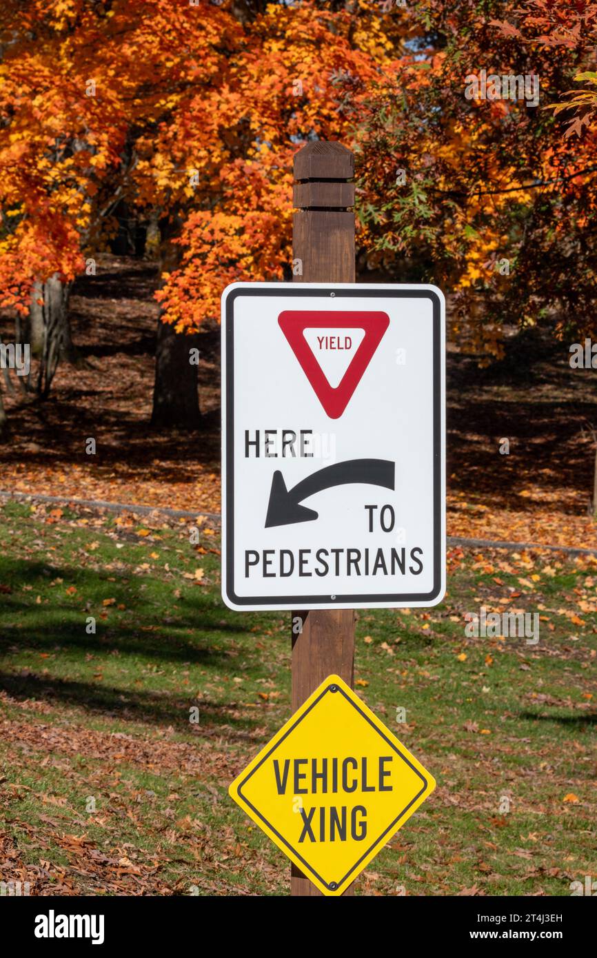 Yield to pedestrian sign in a park during autumn Stock Photo