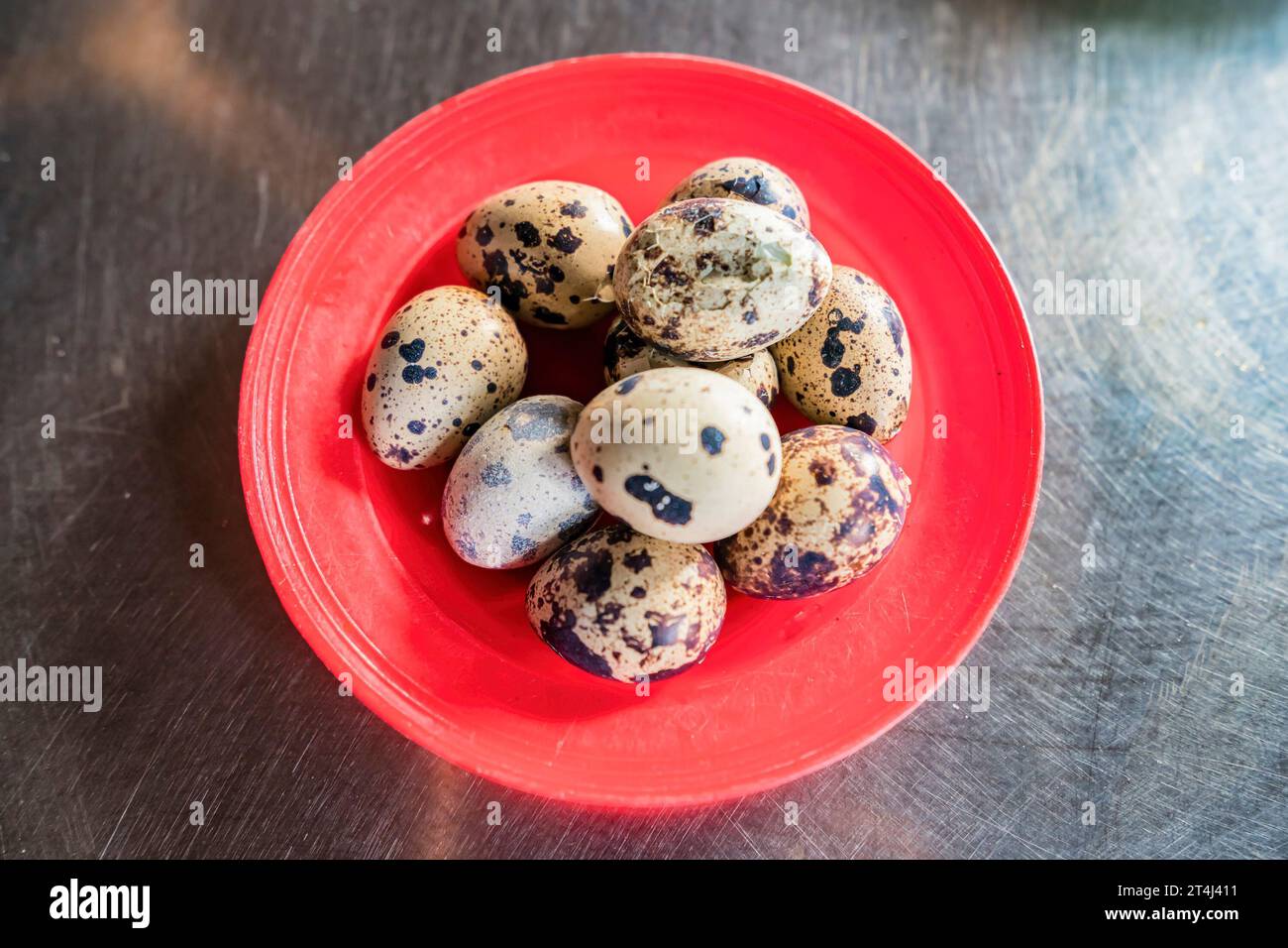 boiled eggs food, quail eggs on wooden bowl, breakfast eggs with fresh quail eggs and vegetable lettuce on table background, Vietnam Stock Photo