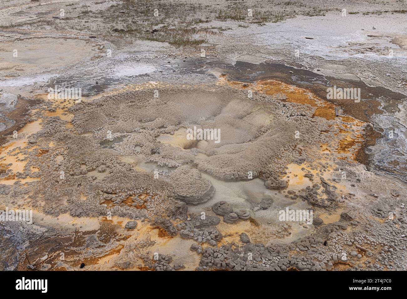 The fine structure of the Anemone Geyser in the Upper Geyser Basin in Yellowstone National Park Stock Photo