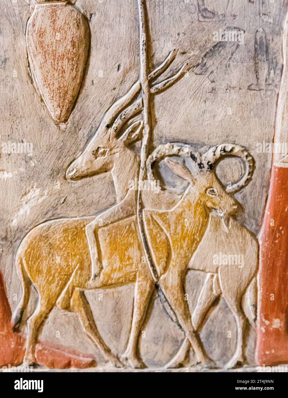 Egypt, Saqqara, tomb of Mehu, detail of offering bringers procession : Ram and addax. Stock Photo