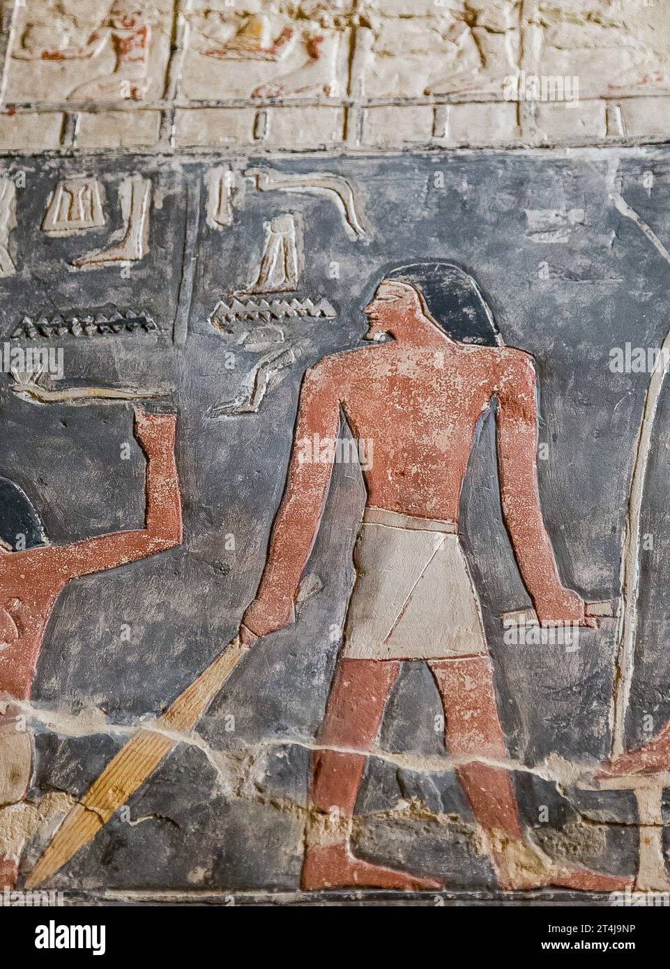 Egypt, Saqqara, tomb of Mehu, cultual rites : Sweep the ground ? Stock Photo