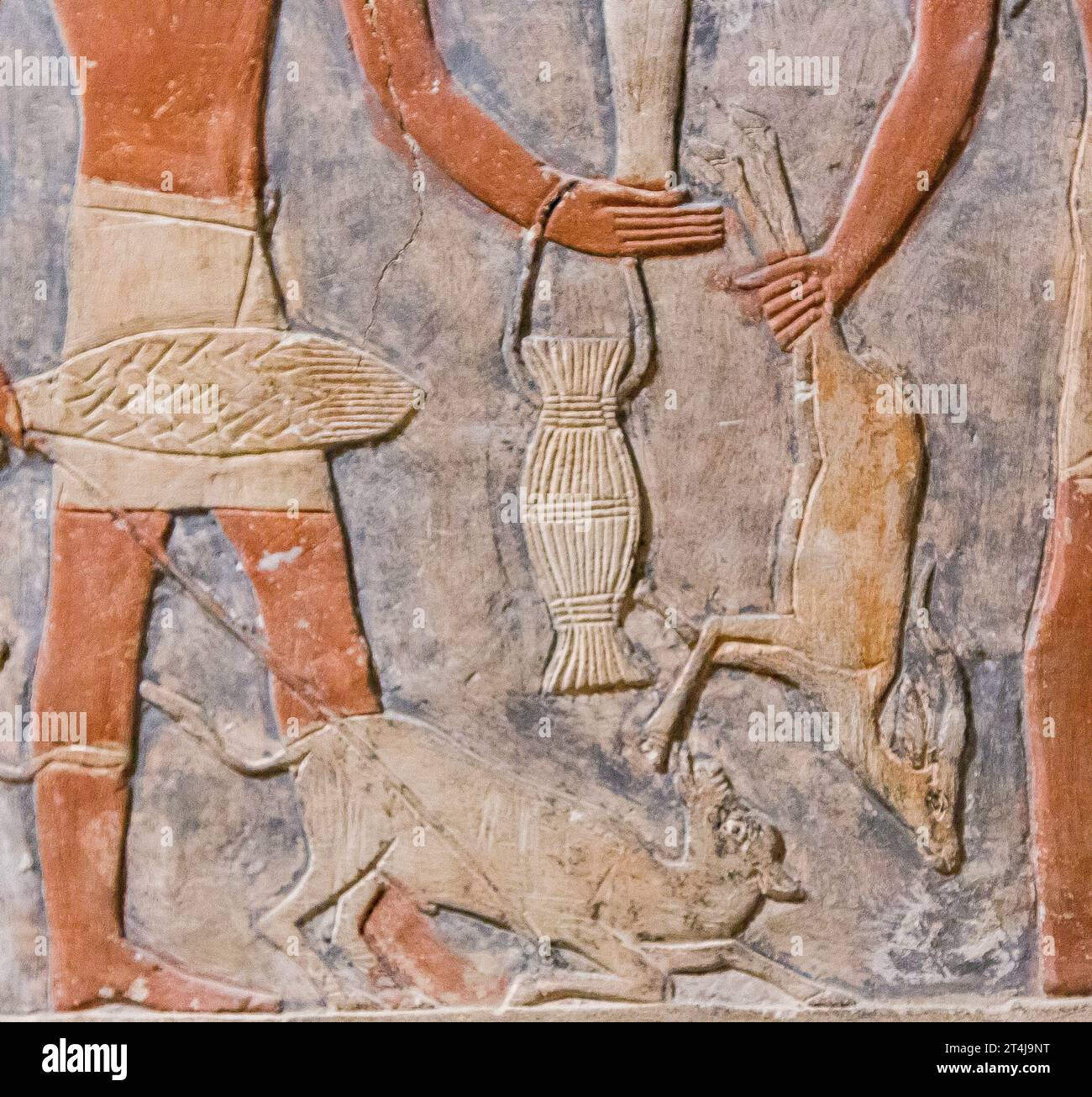Egypt, Saqqara, tomb of Mehu, detail of offering bringers procession : Stumbling calf in leash, and gazelle. Stock Photo
