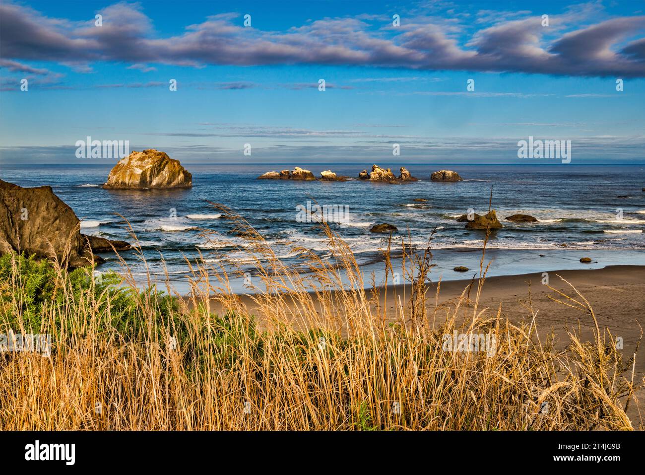 Face Rock, Cats and Kittens Rock, Bandon Beach, view at sunrise, Oregon ...