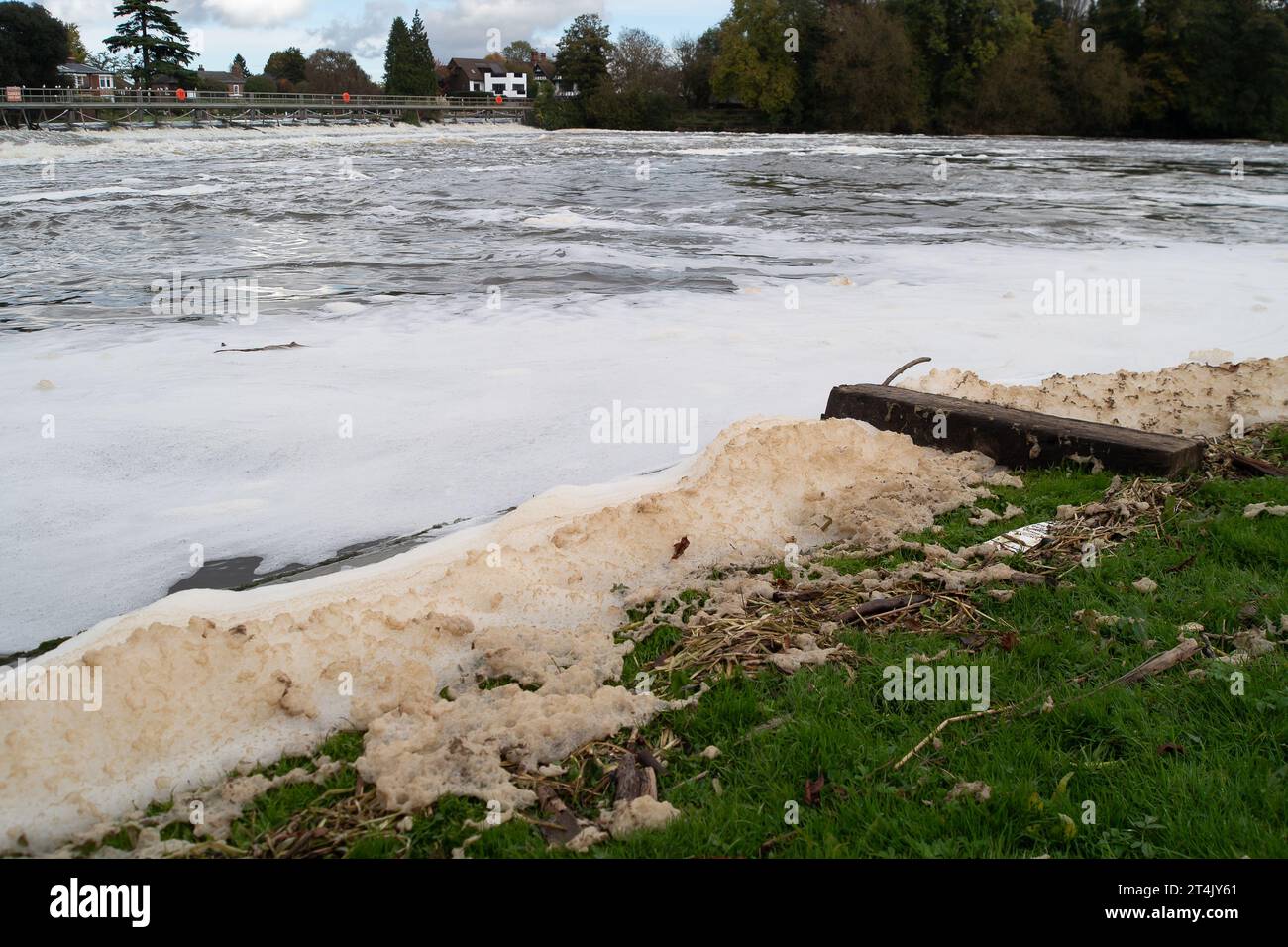 Marlow, Buckinghamshire, UK. 31st October, 2023. Foam collects at the edge of the Marlow Weir in Buckinghamshire after heavy rain in the past few days. Foam on a river can be natural and may start off as white, but often becomes light tan or brown in colour as it collects sediment and organic matter. Foam on a river can alternatively be as a result of pollution. Credit: Maureen McLean/Alamy Live News Stock Photo
