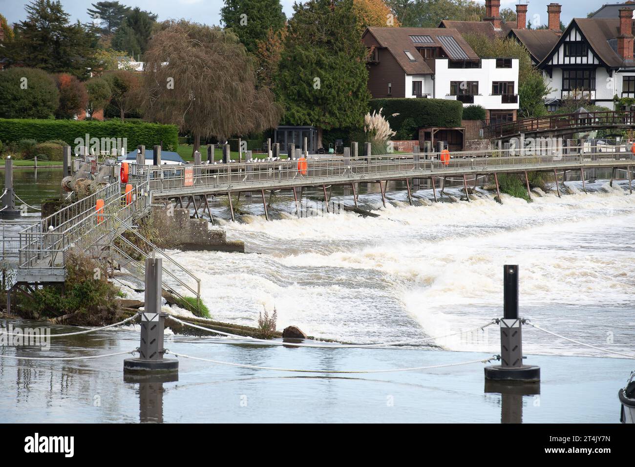 Marlow, Buckinghamshire, UK. 31st October, 2023. Foam collects at the edge of the Marlow Weir in Buckinghamshire after heavy rain in the past few days. Foam on a river can be natural and may start off as white, but often becomes light tan or brown in colour as it collects sediment and organic matter. Foam on a river can alternatively be as a result of pollution. Credit: Maureen McLean/Alamy Live News Stock Photo