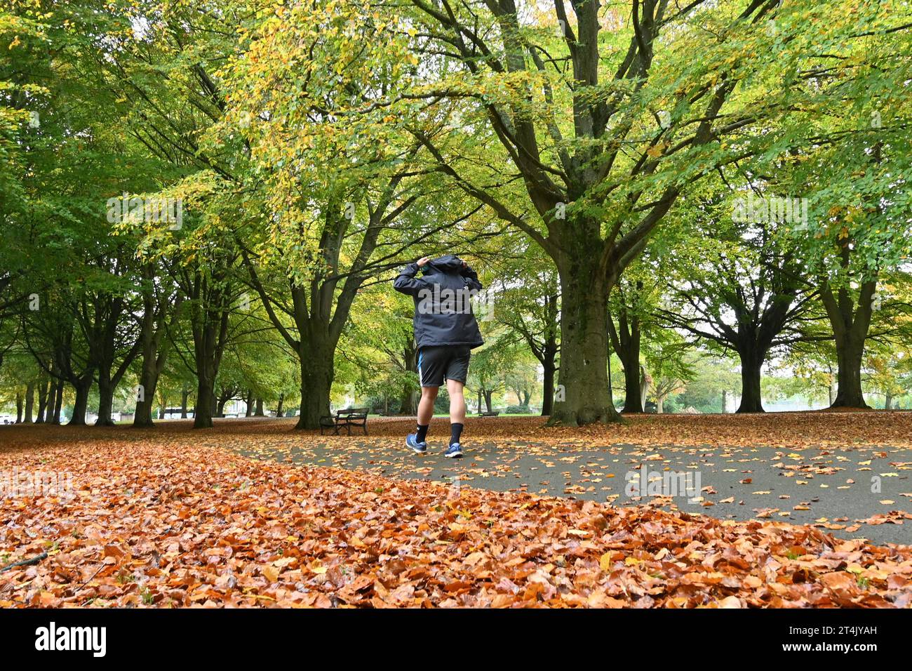 On a damp late morning people with dogs and without are seen strolling beneath the trees with golden leaves on a path below along the Clifton Promenade in Bristol. Picture Credit: Robert Timoney/Alamy Live News Stock Photo