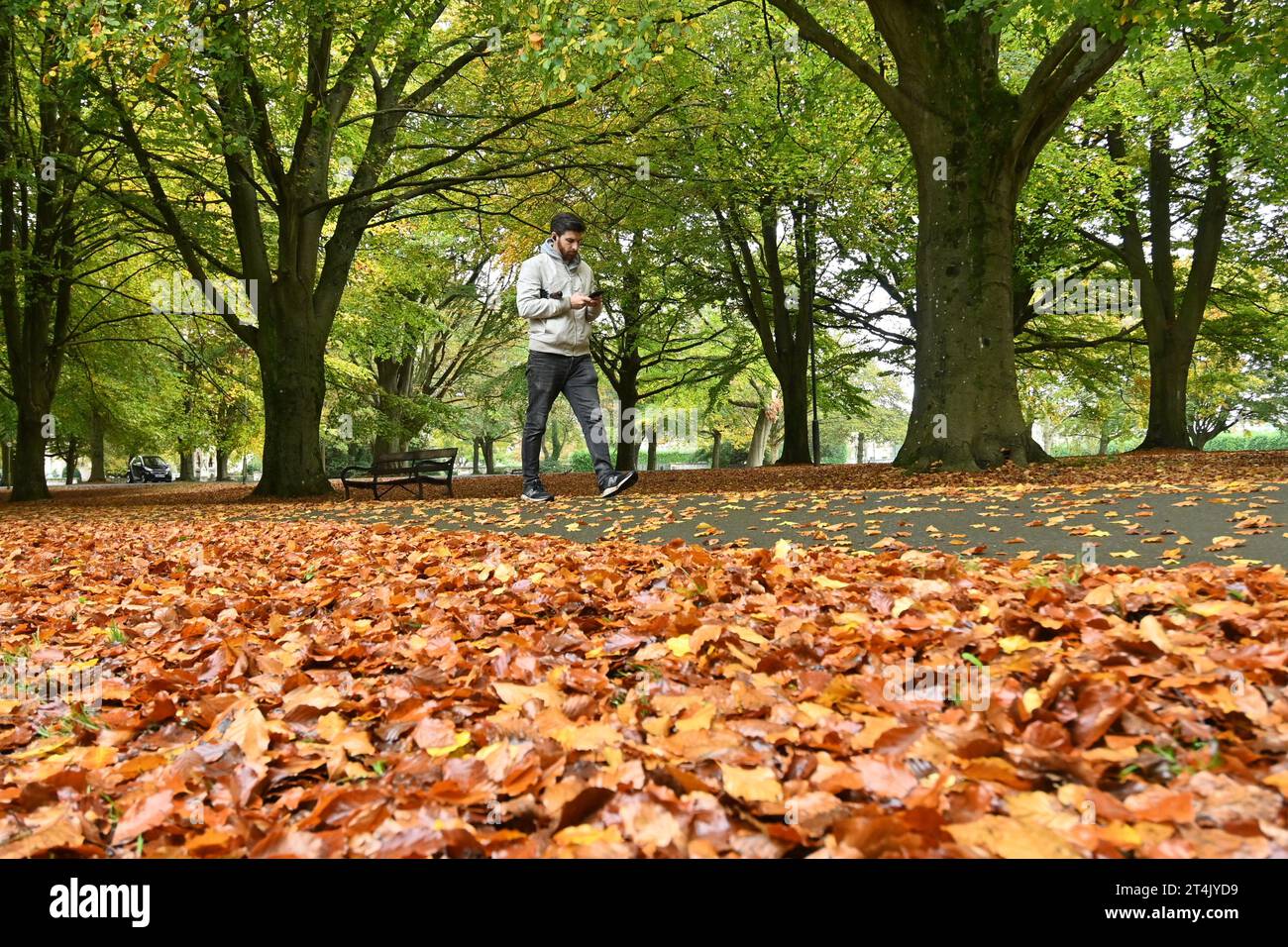 Bristol, UK. 31st Oct, 2023. On a damp late morning people with dogs and without are seen strolling beneath the trees with golden leaves on a path below along the Clifton Promenade in Bristol. Picture Credit: Robert Timoney/Alamy Live News Stock Photo