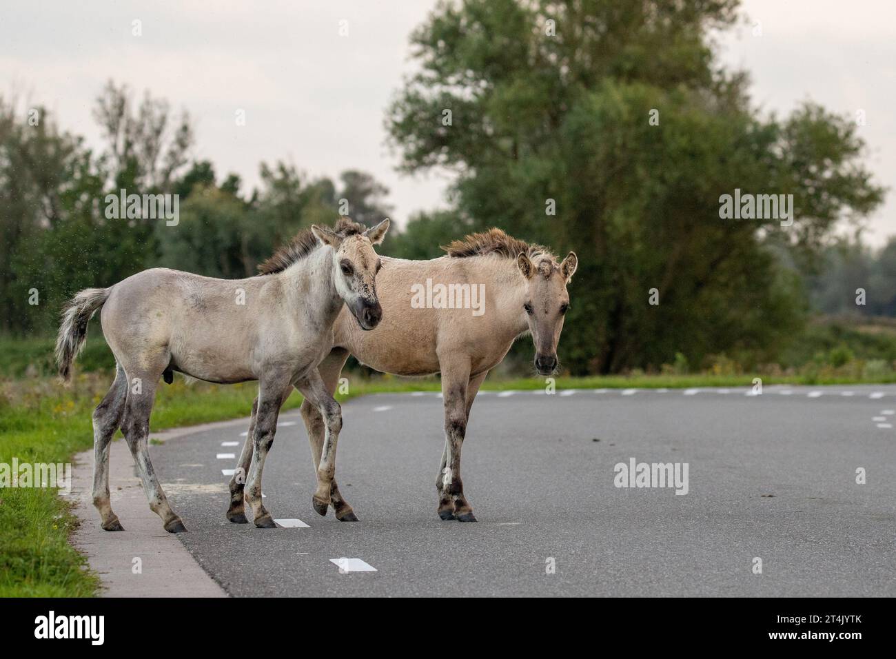 Natura 2000 hi res stock photography and images Alamy