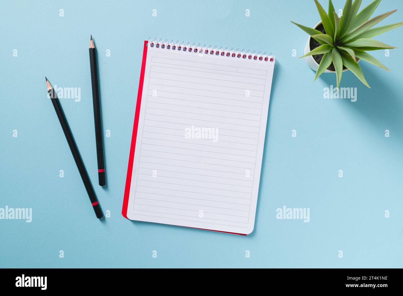 Top view of empty notebook, pen and green plant on blue office desk Stock Photo