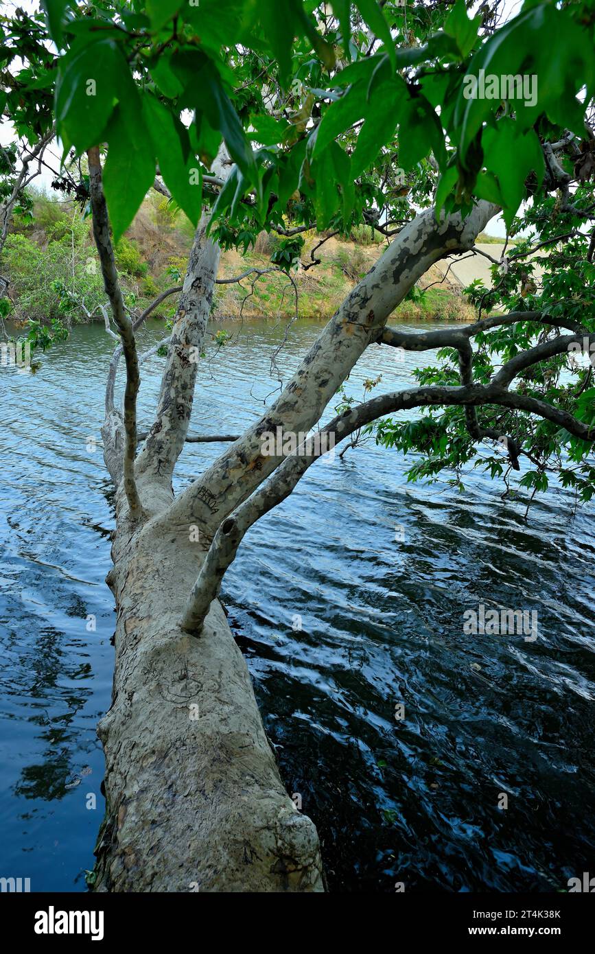 The Vasona Lake County Park and Reservoir, Los Gatos CA Stock Photo - Alamy