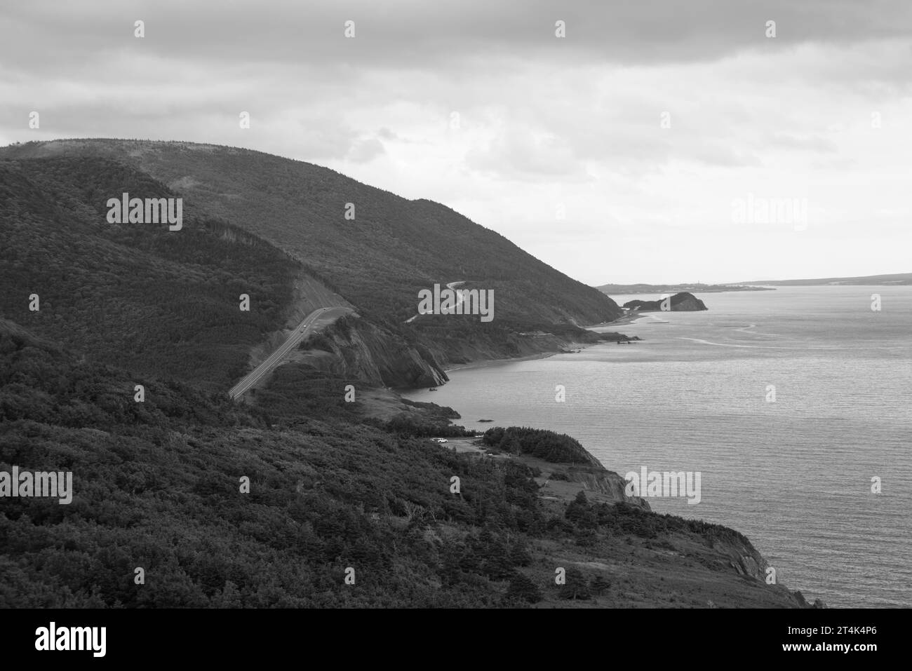 Cape breton forest Black and White Stock Photos & Images - Alamy image.