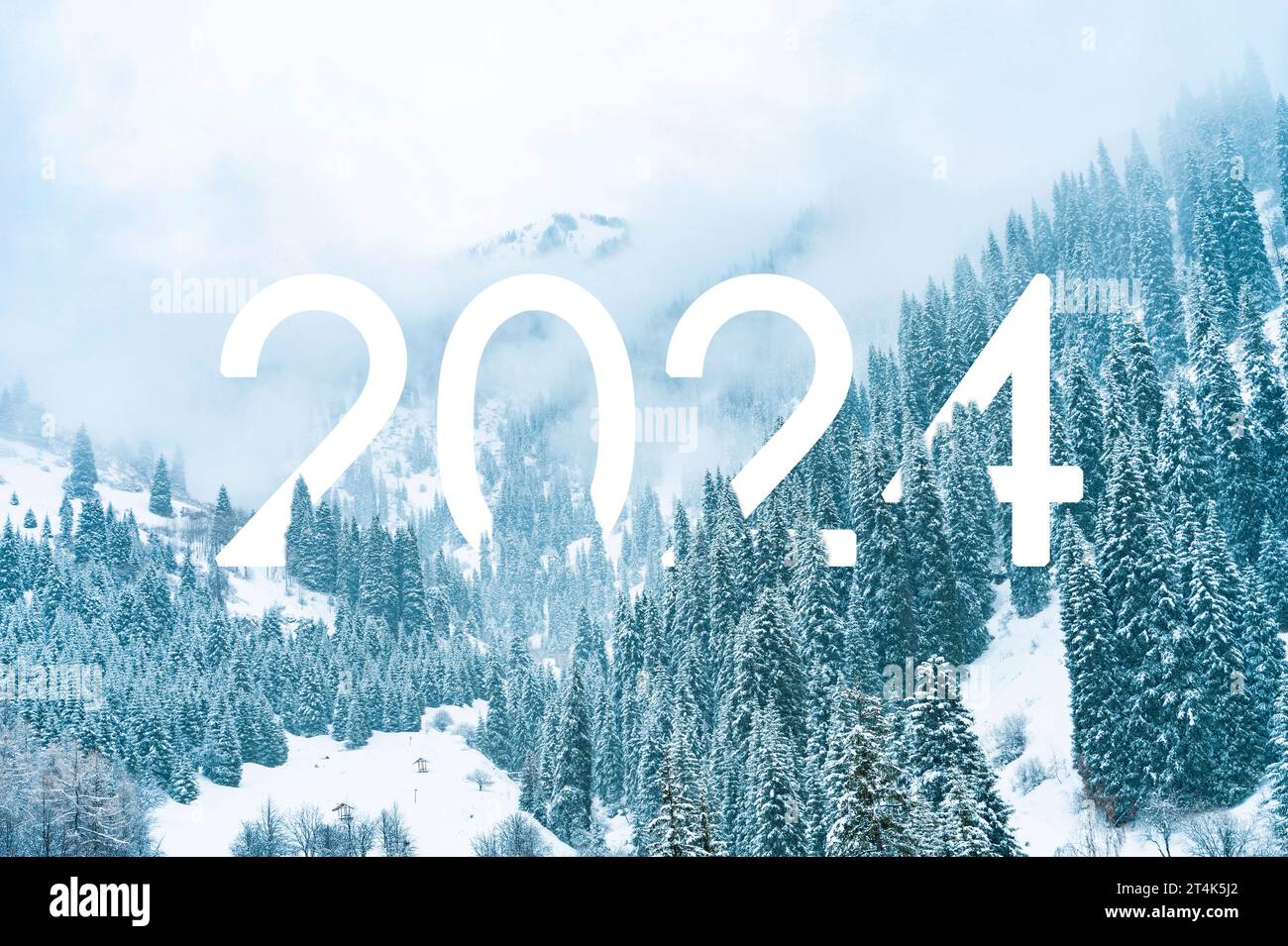 Text 2024 in the forest covered with snow in winter in the mountains