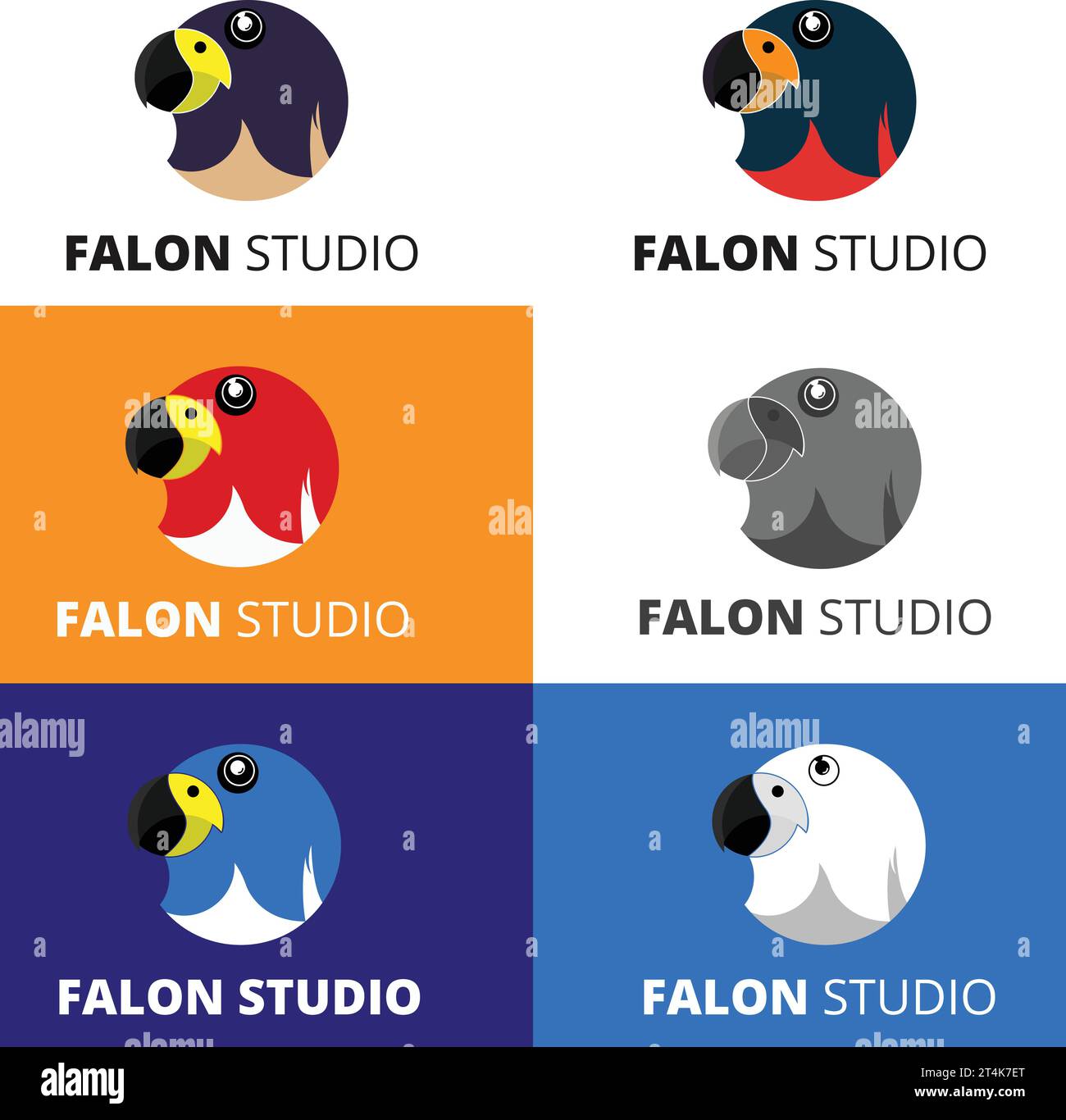 Falcon studio camera eye logo design Royalty Free Vector Stock Vector ...