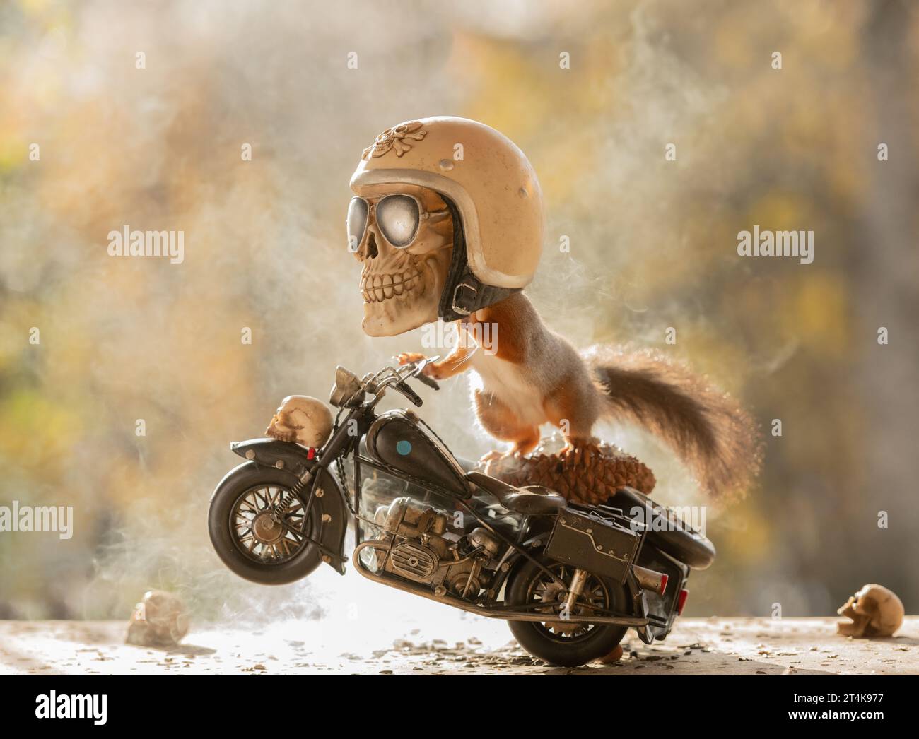 Red Squirrels on a side bike with a skull Stock Photo