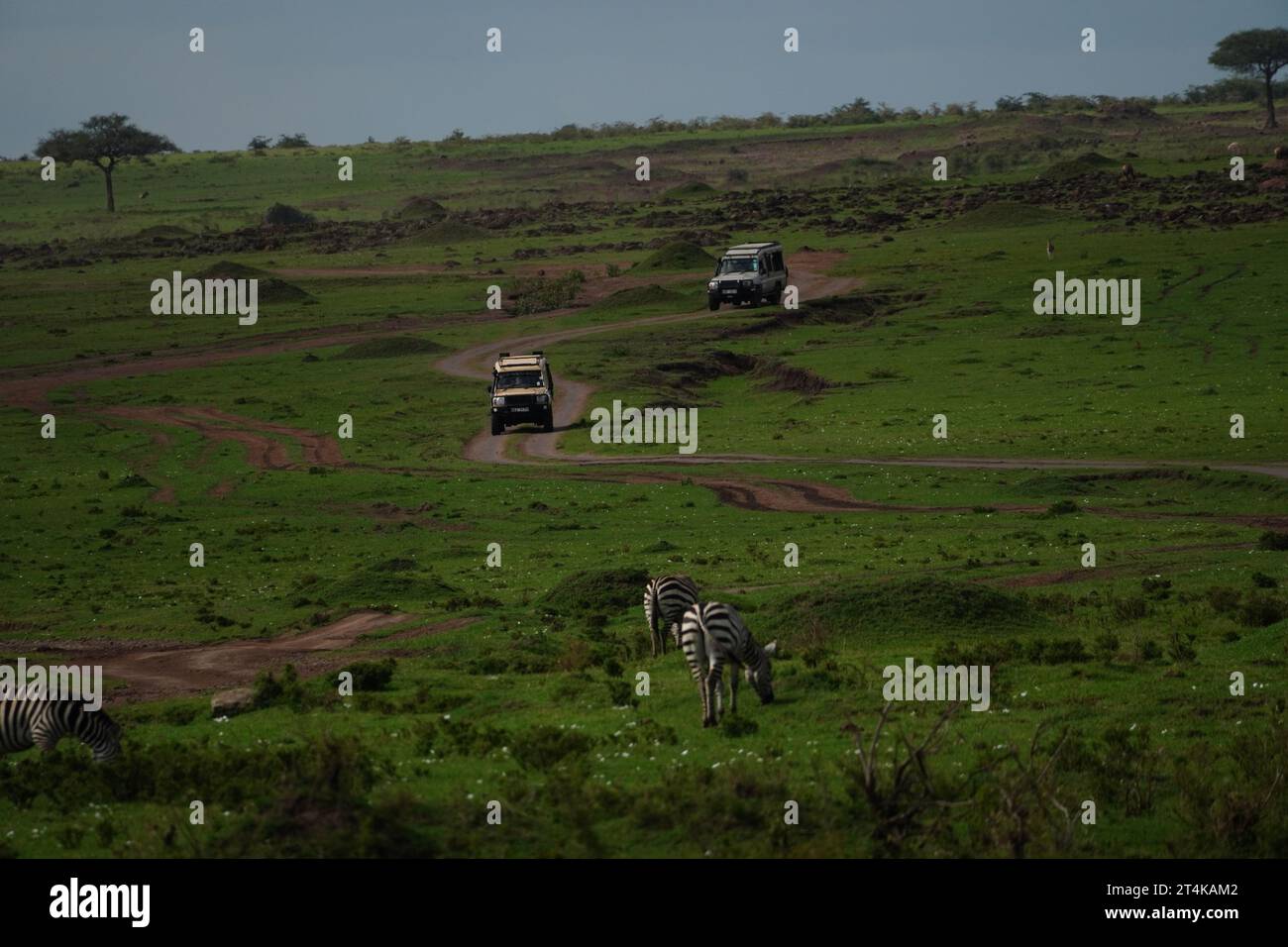 African safari treasures hi-res stock photography and images - Alamy