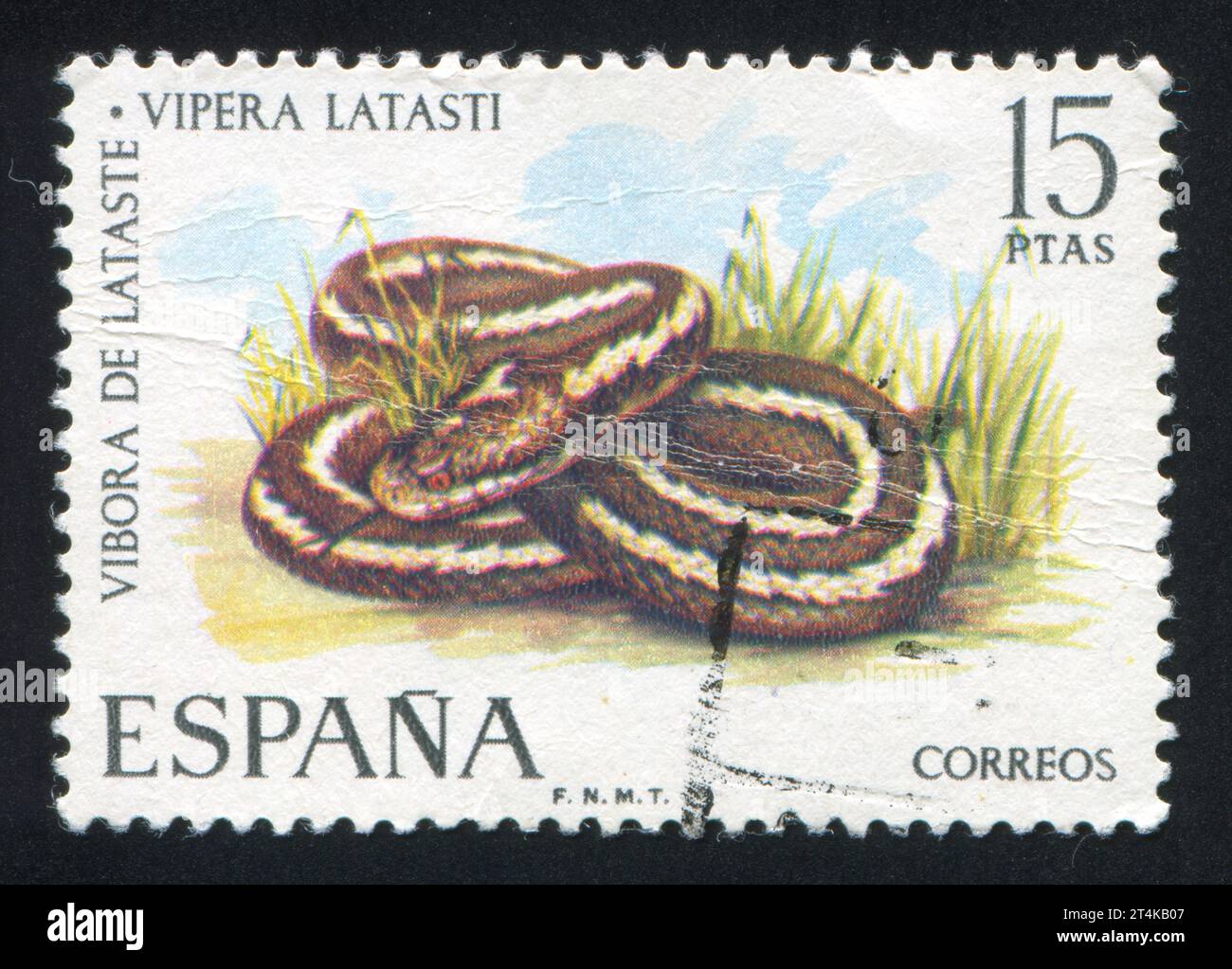 SPAIN - CIRCA 1974: stamp printed by Spain, shows Viper, circa 1974 Stock Photo
